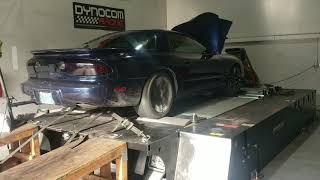 98 firebird ls6 dino run