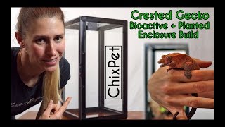 Bioactive + Planted Crested Gecko Enclosure Build