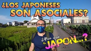 ¿¿Por qué los japoneses son tan asociales y solitarios??