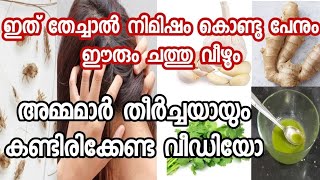 ഒരു ദിവസം കൊണ്ടു പേൻ ശല്യം മാറ്റാം/simple home remedy removing head lice