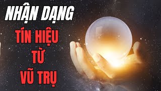 Vũ Trụ Gửi Tín Hiệu Đến Bạn Thông Qua Những Cách Này - Hãy Chú Ý! Luật Hấp Dẫn Liên Hồng Phúc