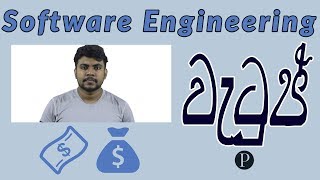 Software Engineering Salaries | මෘදුකාංග ඉංජිනේරු වැටුප් | Sinhala