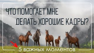 Как снимать хорошие пейзажные кадры.