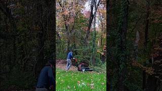 autumn brush mowing