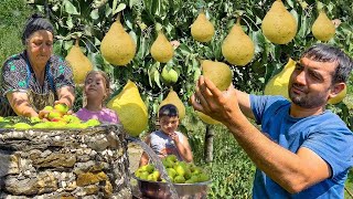 Village Harvest Delights: Pear,Chestnut,and Bean Picking | Cooking Kadinbudu Kofte & Watermelon Jam