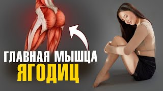 Красивые ягодицы БЕЗ ПРИСЕДАНИЙ | 3 ПРАВИЛЬНЫХ упражнения на ягодицы