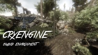 • Cryengine Island Environment •