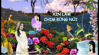 Xin Làm Chim Rừng Núi  -  Trịnh Lâm Ngân  -  Trình bầy Nhật Trường