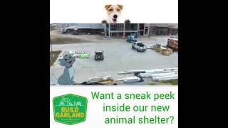 Animal Shelter Update