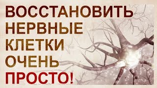 Нейрогенез во взрослом возрасте