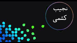 نجیب کشمی آهنگ یار ریزه گک - Najeeb keshmi New song