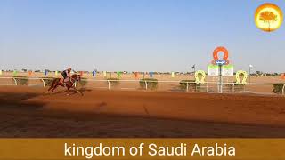 Kingdom of Saudi Arabia Horse competition majmaah সৌদি আরব আল মাজমা ঘোড়ার প্রতিযোগিতা