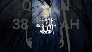 38 SURAH SAAD 30-35 urdu translation short part-11 #allah #quran #islam #surahsaad  #shorts