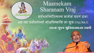 Maamekam Sharanam Vraj||pu.Shrutiprakashdas Swami||Baps_Latest_Pravachan||Janmashtami_Special_utsav