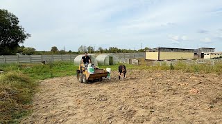 Давно нужно было это сделать. Собрали огромный урожай картошки. Накормим всех. Жизнь простых людей.