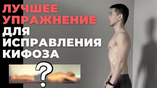 НОВОЕ упражнение для исправления Кифоза и Сутулости. ПРОБУЙТЕ! // WonderWorkout