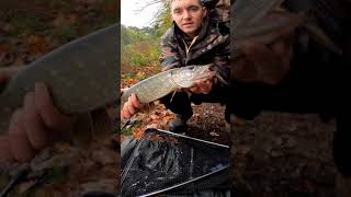 Pike caught on savage gear 3d hard eel