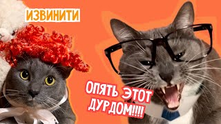 ЕСЛИ БЫ КОТИКИ ХОДИЛИ В ШКОЛУ - ОПЯТЬ НА УЧЕБУ!