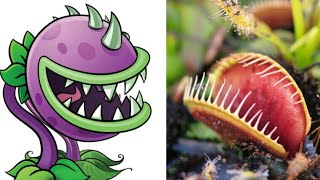 Plants vs Zombies Characters in Real Life