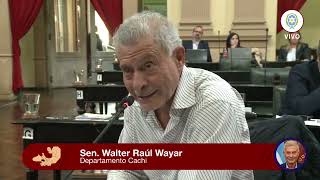 Senador Walter Wayar - Digesto Juridico