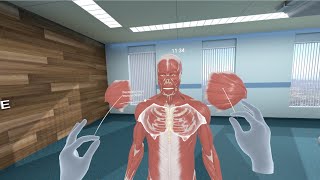 Human Anatomy VR