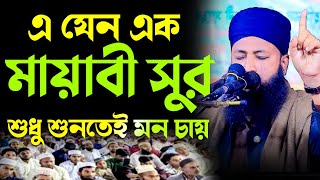 এ যেন এক মায়াবী সুর মাওলানা নূরে আলম আশ্রাফী। Bangla Islamic waz 2024