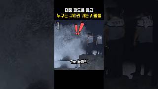 태풍 파도를 뚫고 사람을 구조하는 한국인