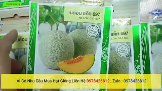 hạt giống dưa lưới f1 nhập khẩu thái lan nguyên bao bì cho bà con ai cần, liên hệ 0978426812