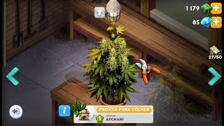 SAIU !! JOGOS DE CULTIVO e VENDA de MACONHA ( Online e Offline ) Android