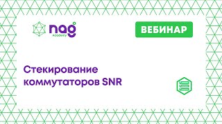 Стекирование коммутаторов SNR (от 02.12.21)