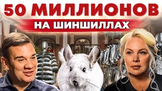 Меховое золото! Прибыльный бизнес на шиншиллах. Шуба из меха. Разведение грызунов. Андрей Даниленко