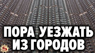 🏡 5 шагов чтобы уехать на землю и не пожалеть . Переезд из города в деревню без потерь и нервов