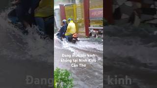 Mưa ngập như cái biển trước nhà mình