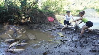 Harvesting Fish - Wild Fishing Catch A Lot Of Fish With A Large Pump Sucks Water/ Bushcraft Survival