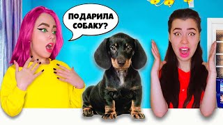 МЫ КУПИЛИ СОБАКУ ! Моя Сестра и Подруга в Шоке | ВЛОГ #25