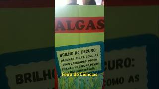 #feira de #ciencia #colegio #estudos #algas #fungos #bacteria #protozoario #virus #escola #pesquisa