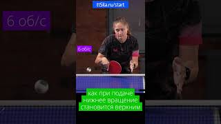 Как при подаче нижнее вращение становится верхним #tabletennisschool #pingpong #tabletennis #serve