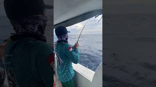 Jigging di pulau seribu bisa dapet yang ukuran jumbo😍 #fishing #mancing #shortvideo #bigfish