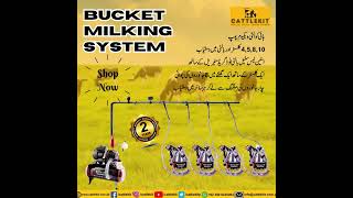 Bucket Milking Machine.. CATTLEKIT . smart milking for Farmers