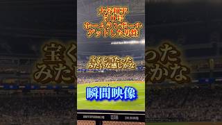 【大谷翔平ホームランボール獲得】めっちゃラッキーやんか！#大谷翔平 #ohtani #homerun #ohtanishohei #lucky #5050d #新記録 #shorts