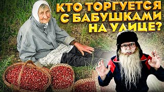 Милосердие или понты?  Клубника.  Дед Архимед