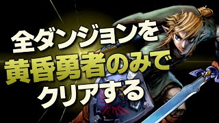 オールダンジョン装備縛り攻略解説『黄昏の勇者編』【ゼルダの伝説 ブレス オブ ザ ワイルド】