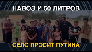 Навоз и 50 литров: Село просит Путина