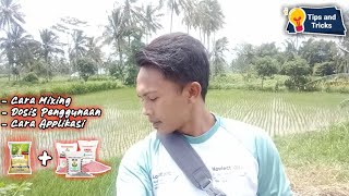 Cara & Technik Applikasi HERBISIDA + PUPUK (Hemat Waktu, Hemat Tenaga)