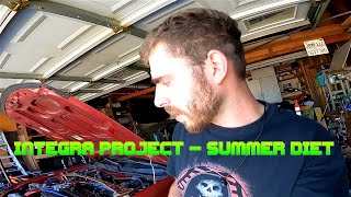 Integra Project - Summer diet