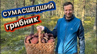 ГРИБНИК В ОТЧАЯНИИ УЕХАЛ В ТАЙГУ! ПРИКЛЮЧЕНИЯ НАЧИНАЮТСЯ! Грибы2024