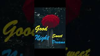 Good night whatsapp status lovely| good night whatsapp status full screen||trending whatsapp status|