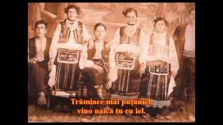 Uşor, puiule uşor- Ljubica Prvulovic