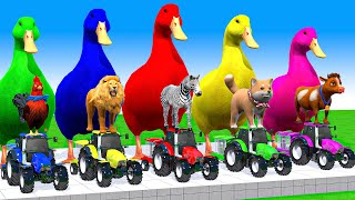 5 Giant Duck Cartoon, Cow, Mammoth, Elephant, Tiger, Paint Wild Animals Crossing Fountain Animation