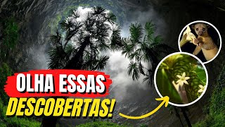 FLORESTA PRIMITIVA ENCONTRADA NA CHINA 2022 - Você não vai acreditar nessa descoberta!